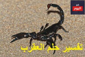 العقرب في المنام