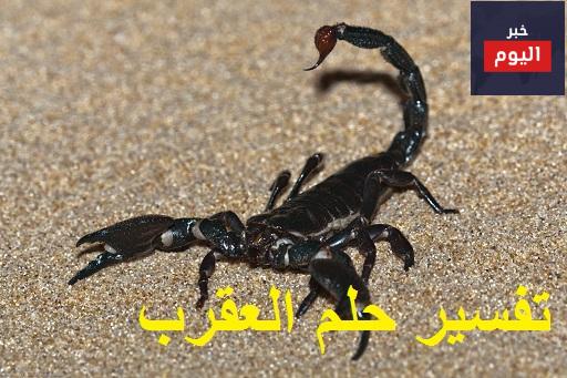 العقرب في المنام