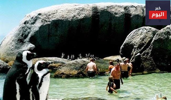 المعالم السياحية في كيب تاون