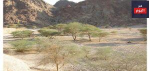وادي الجن بالمدينة المنورة