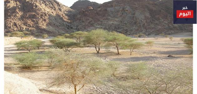 وادي الجن بالمدينة المنورة