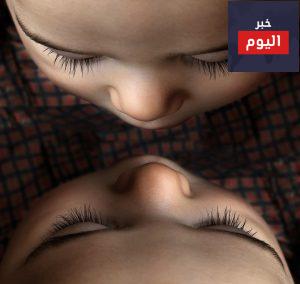 تربية التوأم