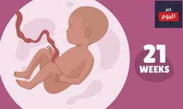 الحمل في الشهر السادس - أنتِ وطفلكِ في الأسابيع 21-24 من الحمل - You and your baby at 21-24 weeks pregnant