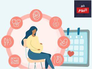 حاسبة الحمل - Pregnancy due date calculator