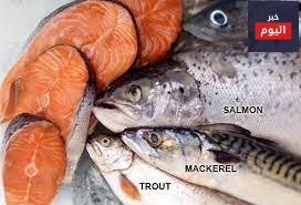 هل الأسماك الزيتية غنية بالأوميغا 3؟ - Oily fish: Rich in Omega 3?