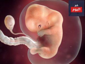 الحمل في الشهر الثالث - أنتِ وطفلكِ في الأسابيع 9-12 من الحمل - You and your baby at 9-12 weeks pregnant