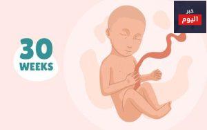 40 أسبوعاً:الأسبوع الثلاثون