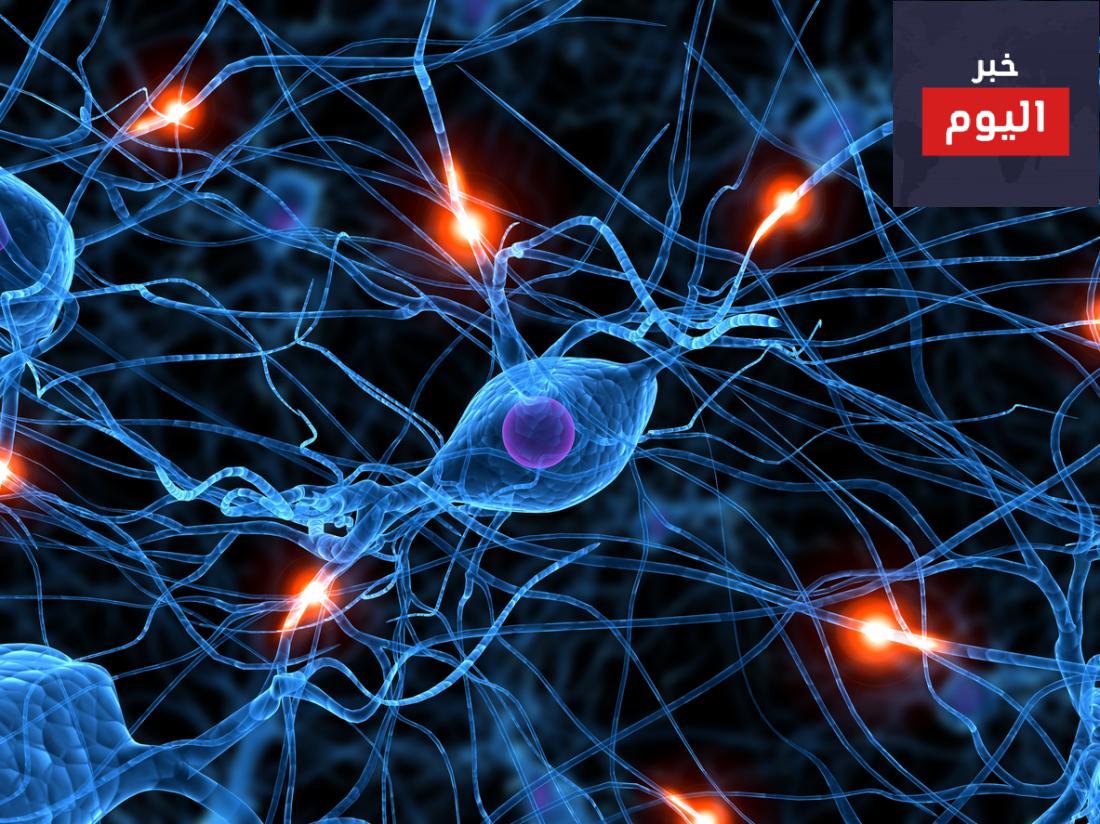 العلماء يخططون لبدء تجارب "إعادة إحياء الدماغ" بعد الموت