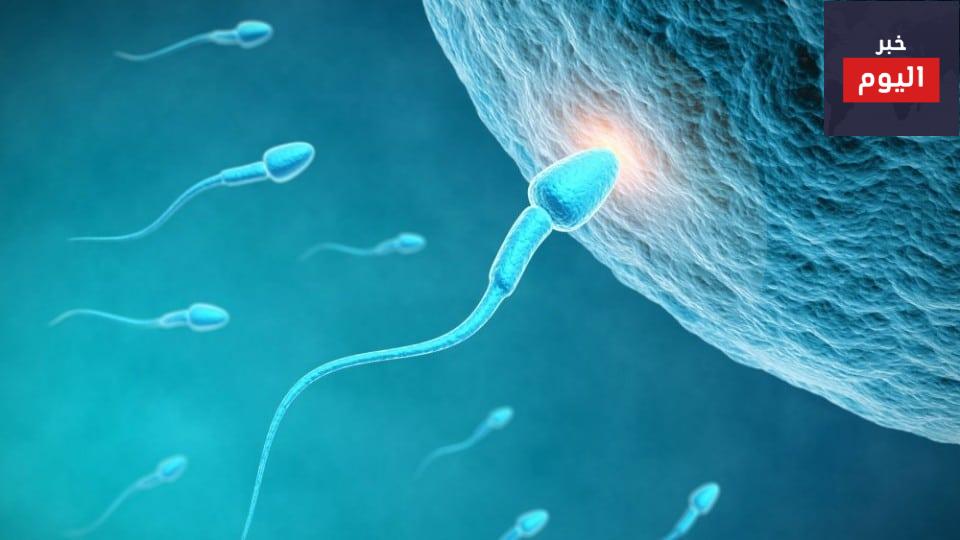 «تجميد البويضات».. أحدث صيحة للمرأة العاملة