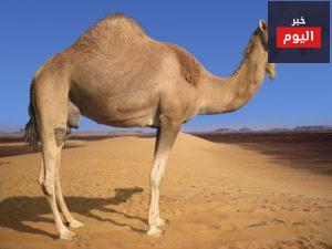 أين نقاط قوتك؟
