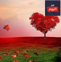 أجمل الخواطر
