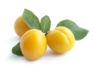 بوضة بالبرقوق الأصفر