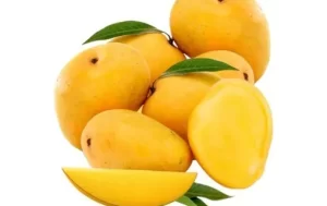 المانجو شانتى