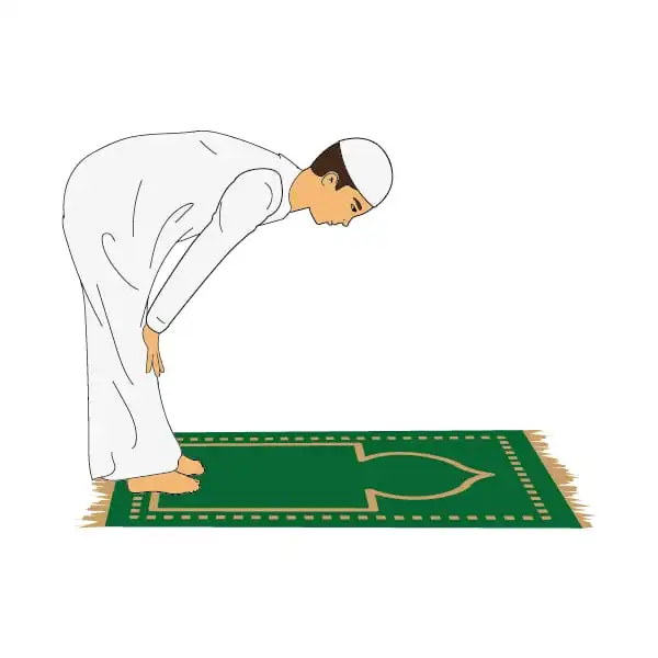 صفة الركوع
