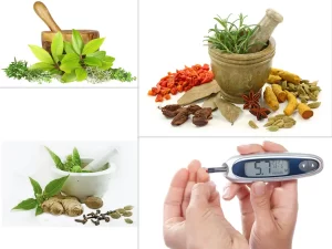 علاج السكر بالأعشاب