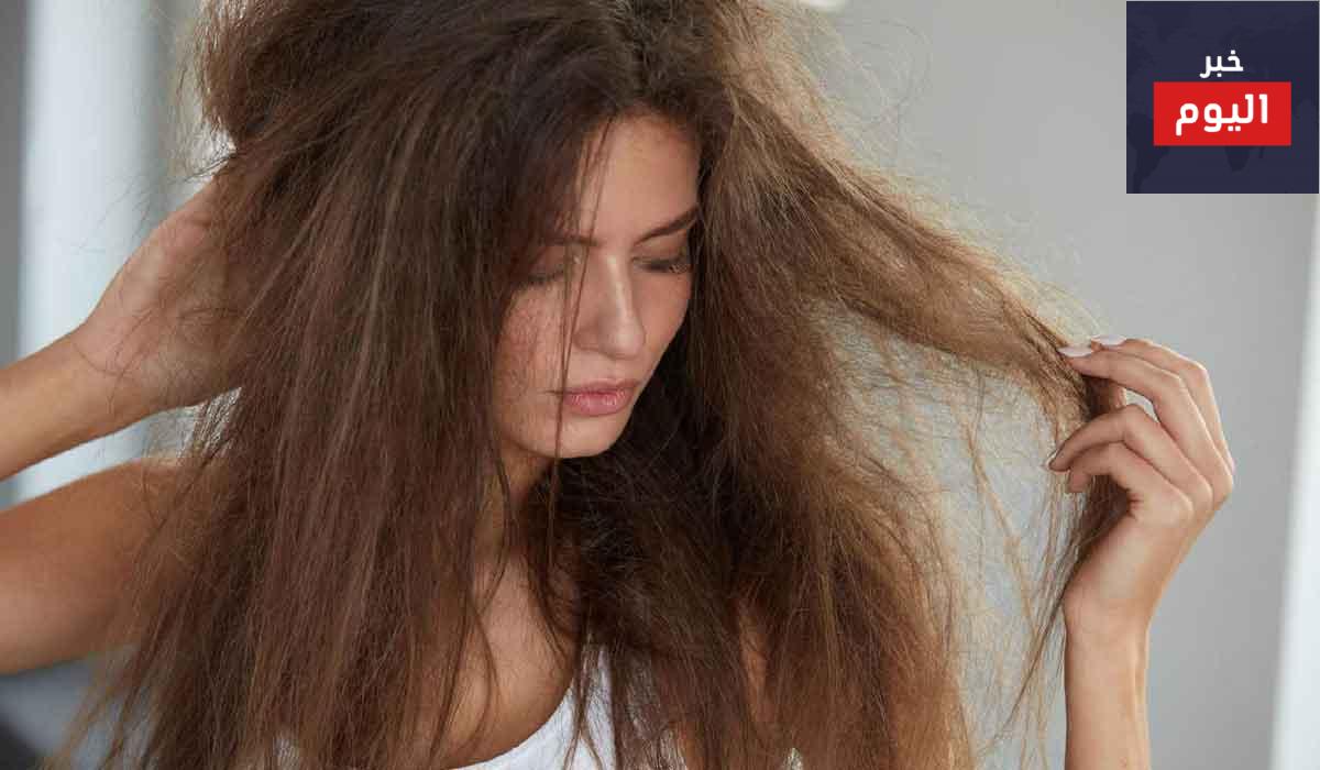عالجي شعركِ الجاف والمتقصف مع هذه الخلطات الطبيعية الرهيبة