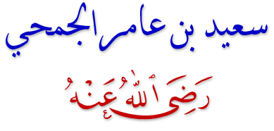 قصة سعيد بن عامر