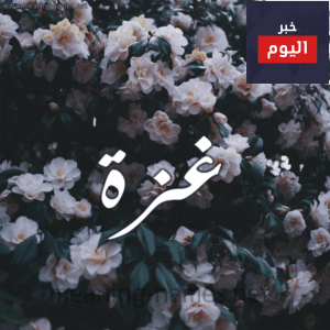 انشودة حررنا غزة بالقوة