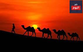 الـ 17 جملاً و 3 أبناء