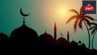 سليمان عليه السلام