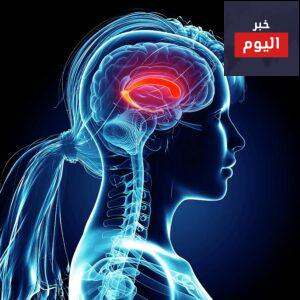 المادة التي تشكل 80 من دماغ الانسان