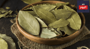 طريقة السدر للشعر