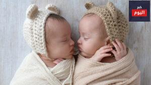 طريقة الحمل بتوأم مجربه