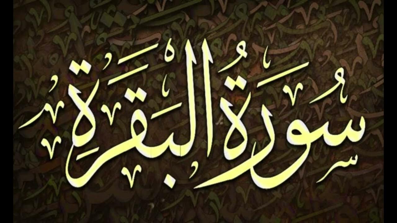 كم مره ذكر العجل في سورة البقره 2 كم مره ذكر العجل في سورة البقره